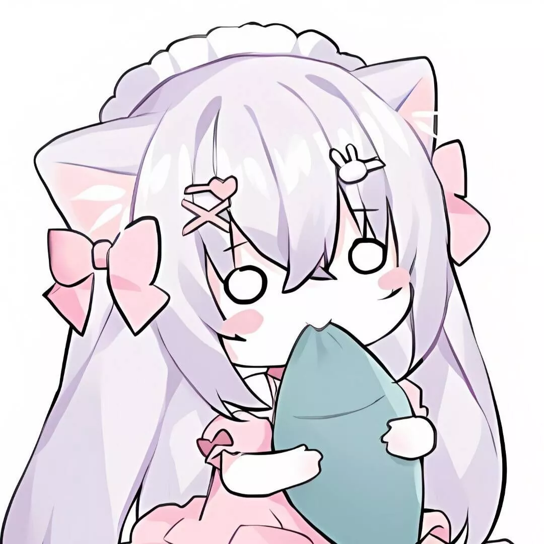NLR DevTeam · 探索技术 开放共享